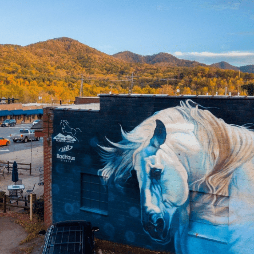 From These Mountains w/ Donna Ray Norton & Friends