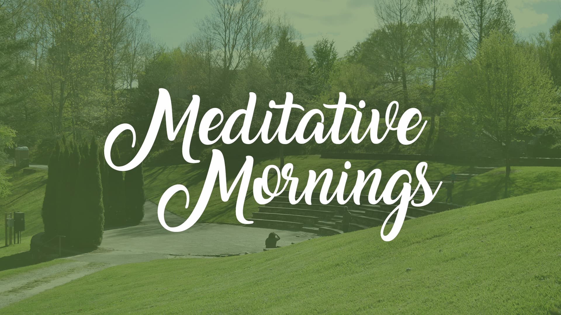 Meditative Morning