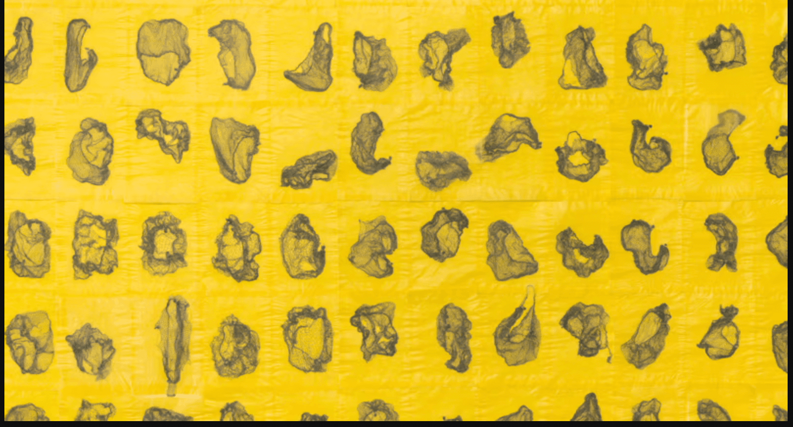 Women of the Pacific Northwest