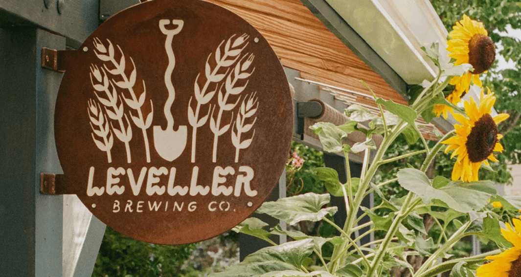 Traditional Irish Session