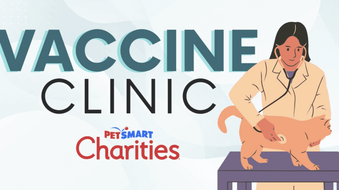 Affordable Pet Vaccine Clinic