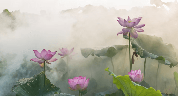 The Open Page: A Meditative Writing Circle