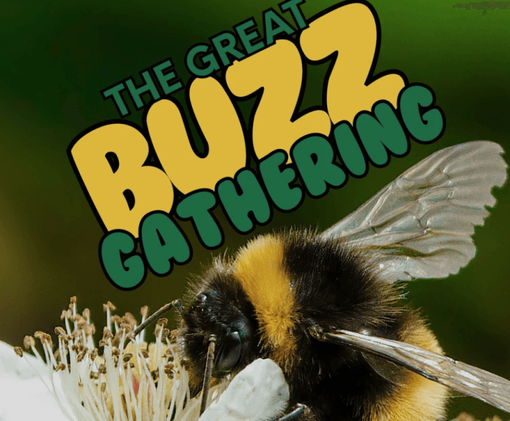 7th Annual Great Buzz Gathering