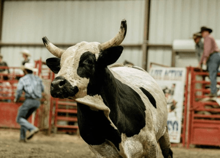 Madison County Championship Rodeo