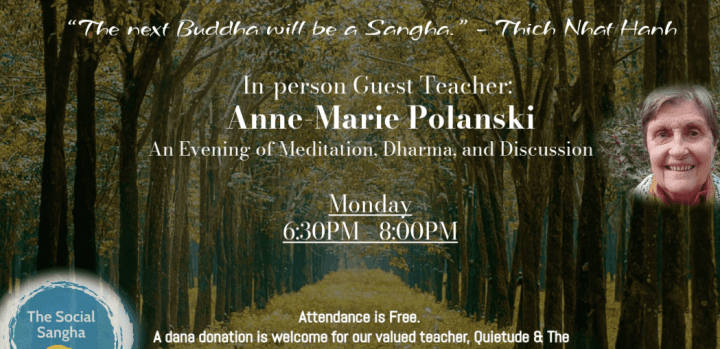 Finding Calm Within The Storm