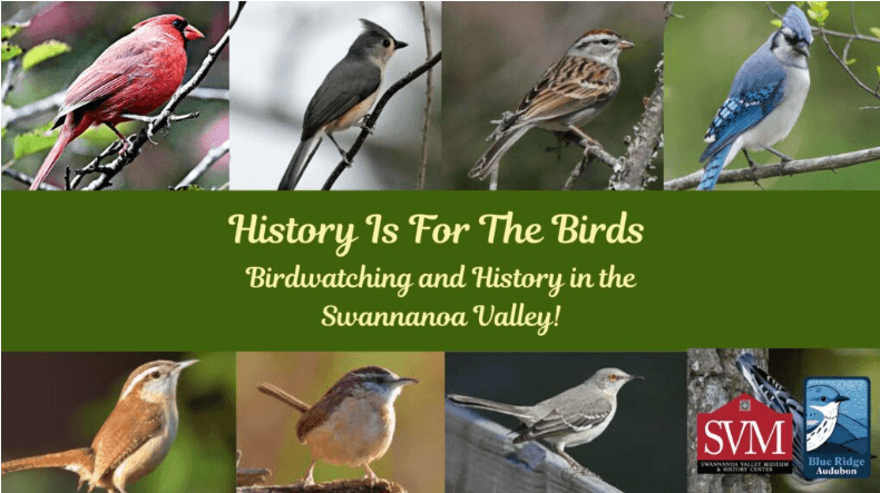 History is for the Birds