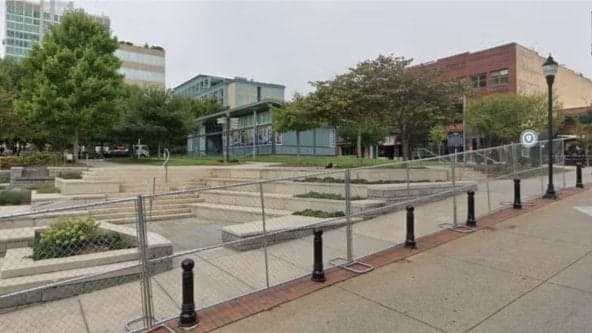 Gardening Meet and Seed/Plant Exchange: Spring Plants  🌱