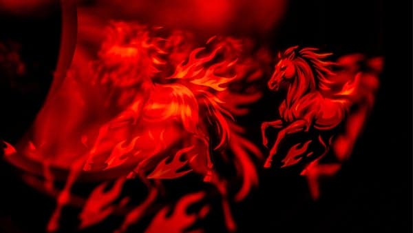 AMC Sunday Ecstatic Dance Waves w/ DJ Marta Martin