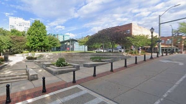 Pack Square Seed/Plant Share: Extra Spring Plants  🌱