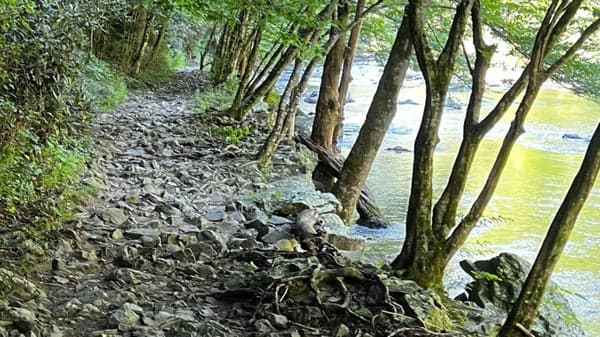 Big Laurel Creek - 7.2 mi, 300 ft. elev. gain  