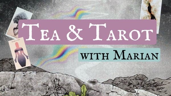 Tea & Tarot for the Collective