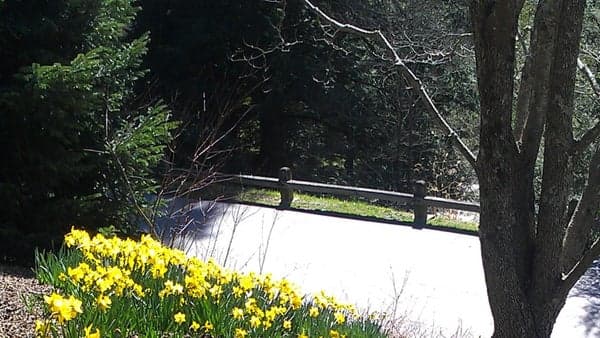 Biltmore Estate 5/10 KM Walk—Often & Seldom-Walked Trails—Gardens in Early Bloom