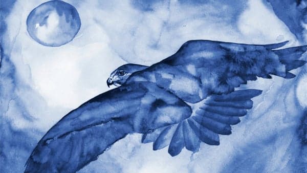 Saturday Evening Community Potluck