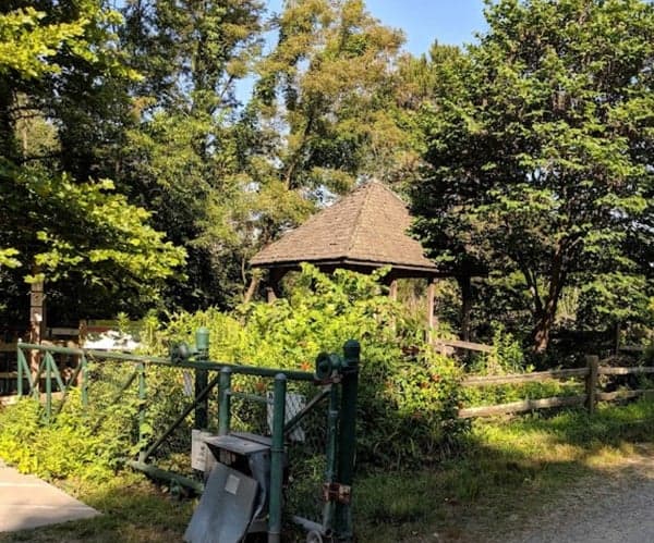 Beaver Lake Morning Walks