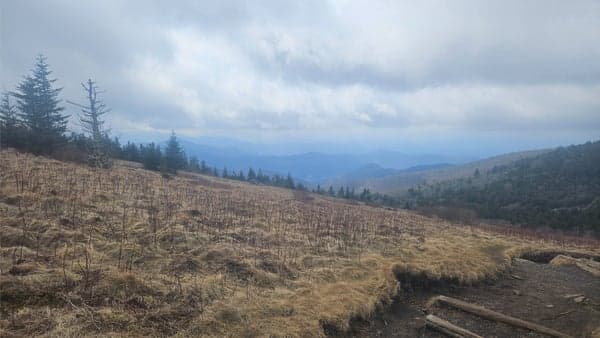 Carver Gap to Grassy Ridge Bald Out and Back (Carpool from Weaverville Walmart)