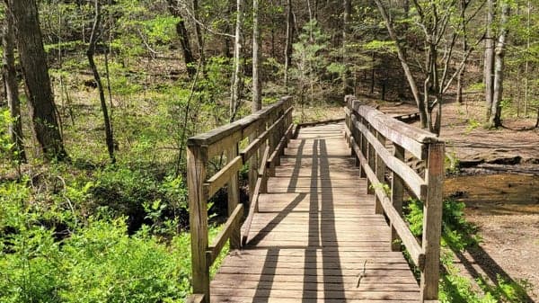 Deer Lake Lodge to Ledford Branch to Corvair to Rice Pinnacle Loop