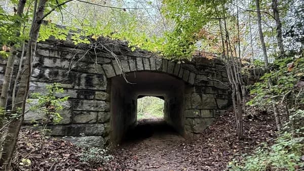 Sunday Morning Hike: Blue Ridge Parkway Visitor's Center Loop (cross-posted)