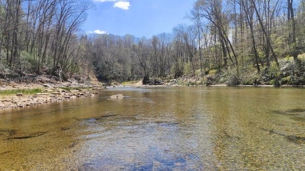 Riverside Summer Kick off Hike