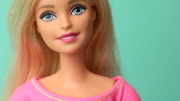 "A Real Doll" by AM Homes