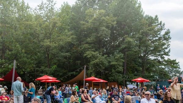 Saturday in the Meadow 🎶