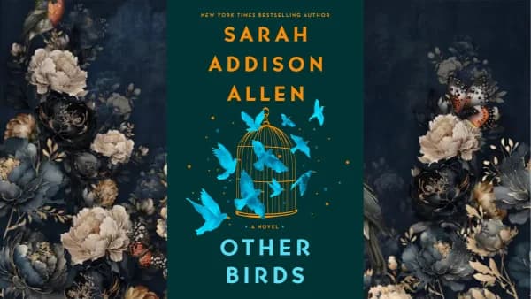 December - Other Birds