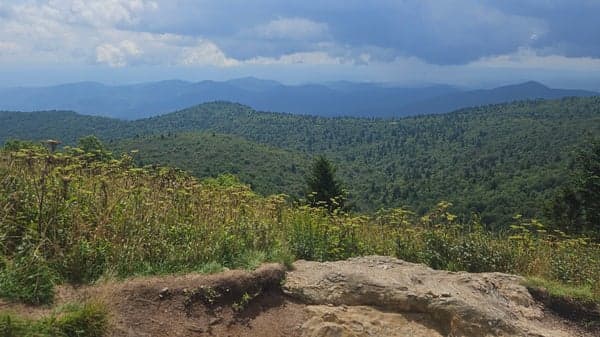 Tennent Mtn & Black Balsam: Ivestor Gap Trl to Art Loeb Loop