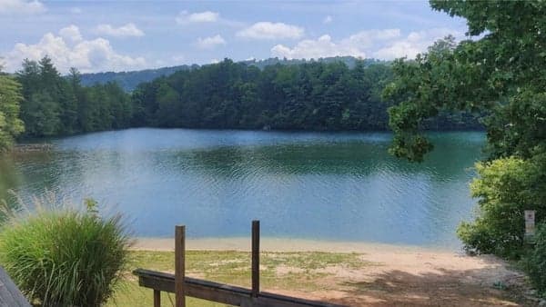 Lake Julian Paddle with Drinks and Food at Wild Wings
