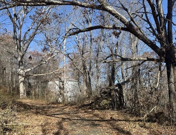 Lazy Day Hike on Bull Mountain