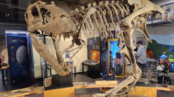 Asheville Science Museum 