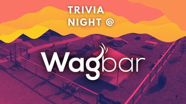 Trivia Night @ Wagbar