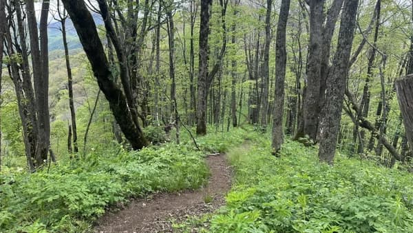 Sam's Gap to Rice Gap 7.5 Mi, 1700 Ft EG