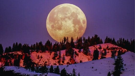  Full Moon Serenity Sound Bath 