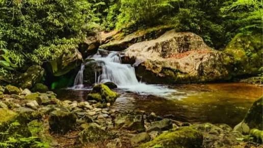 Hike in Rocky Fork State Park