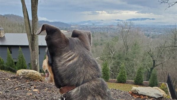 Camino de Asheville - Section 2 - 6.5 miles.