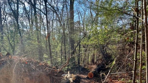 Folk Art Ctr. - Lunch Rock, 5 mi. 800ft. Elev. Gain