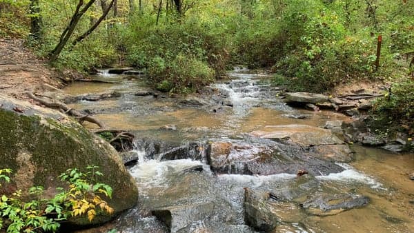 Hike the Trails of Richmond Hill Park