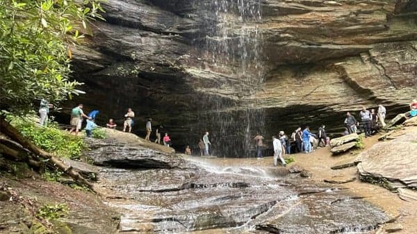 Hike to Moore's Cove Falls
