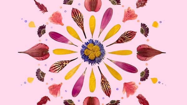 AMC Sunday Ecstatic Dance w/ DJ Esmae