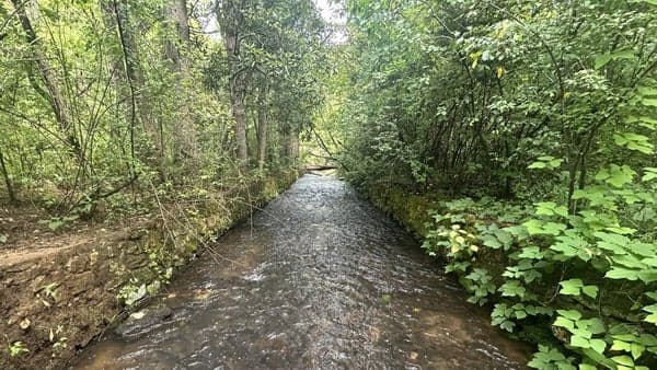Lake Powhatan Loop via South Ridge Road