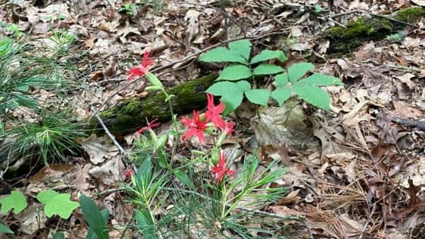 Updated: The Biltmore Farm Trail Is Fairly Flat and a 6 Mile Round Trip—Join Us!