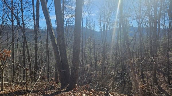 Reeves Cove Road to Scott Mountain Lollipop