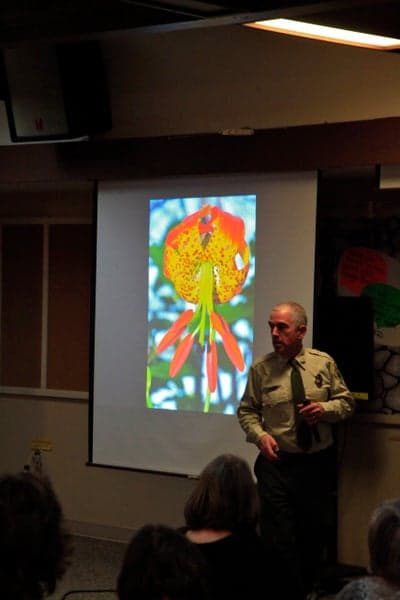 Laurel River Trail Hike