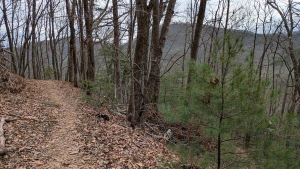 Bent Creek: Lower Sidehill, South Branch, 7 miles