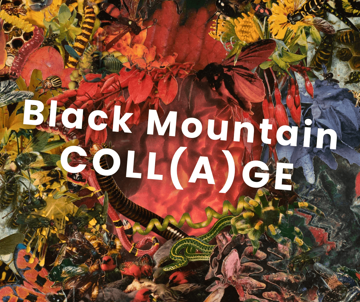 OPENING RECEPTION: Black Mountain COLL(A)GE