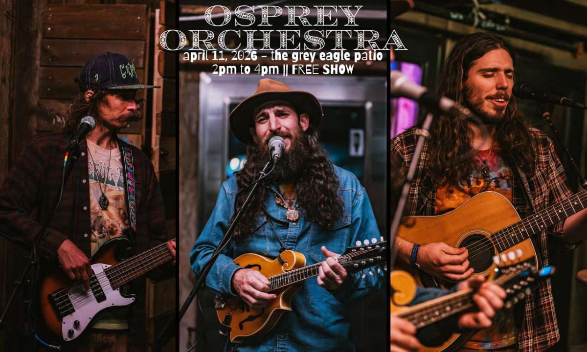 FREE PATIO SHOW: Osprey Orchestra