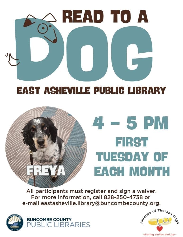 Read to a Dog: Freya the Springer Spaniel