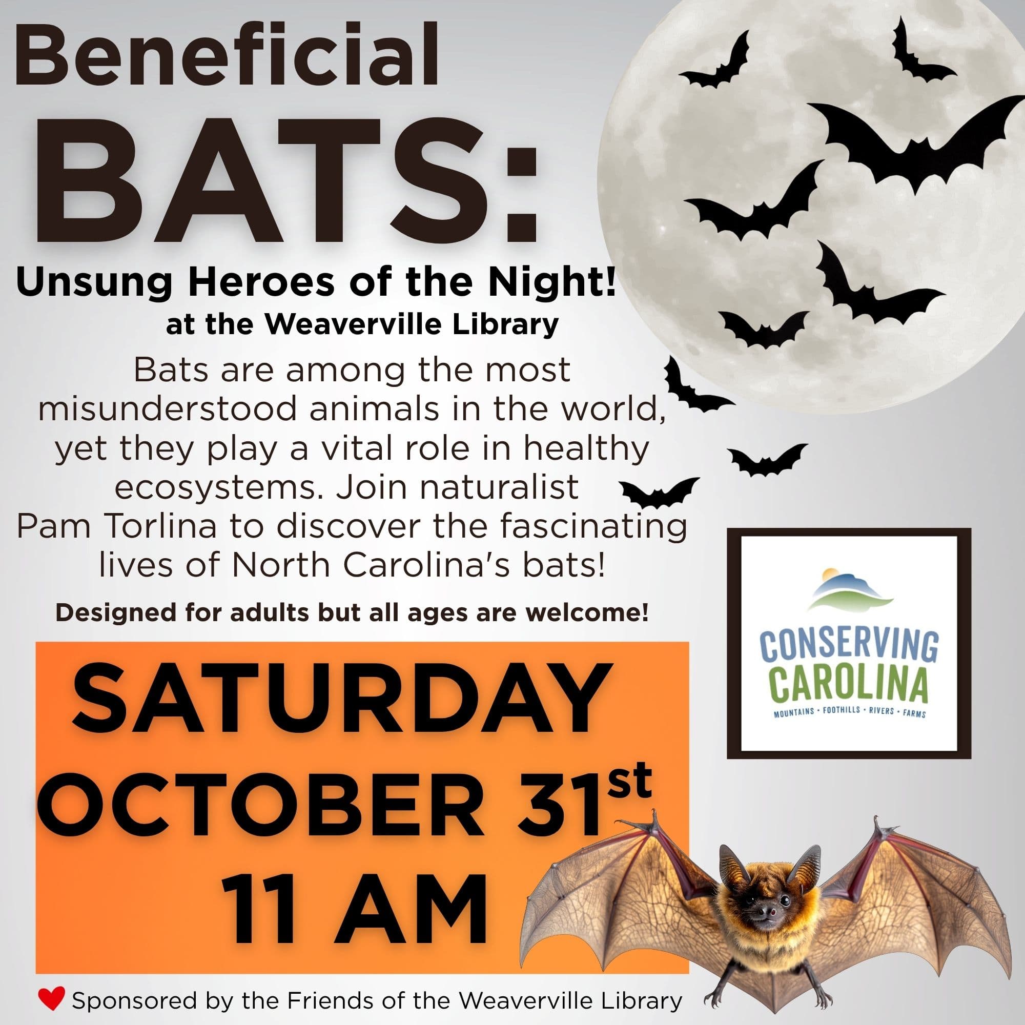 Beneficial Bats: Unsung Heroes of the Night!