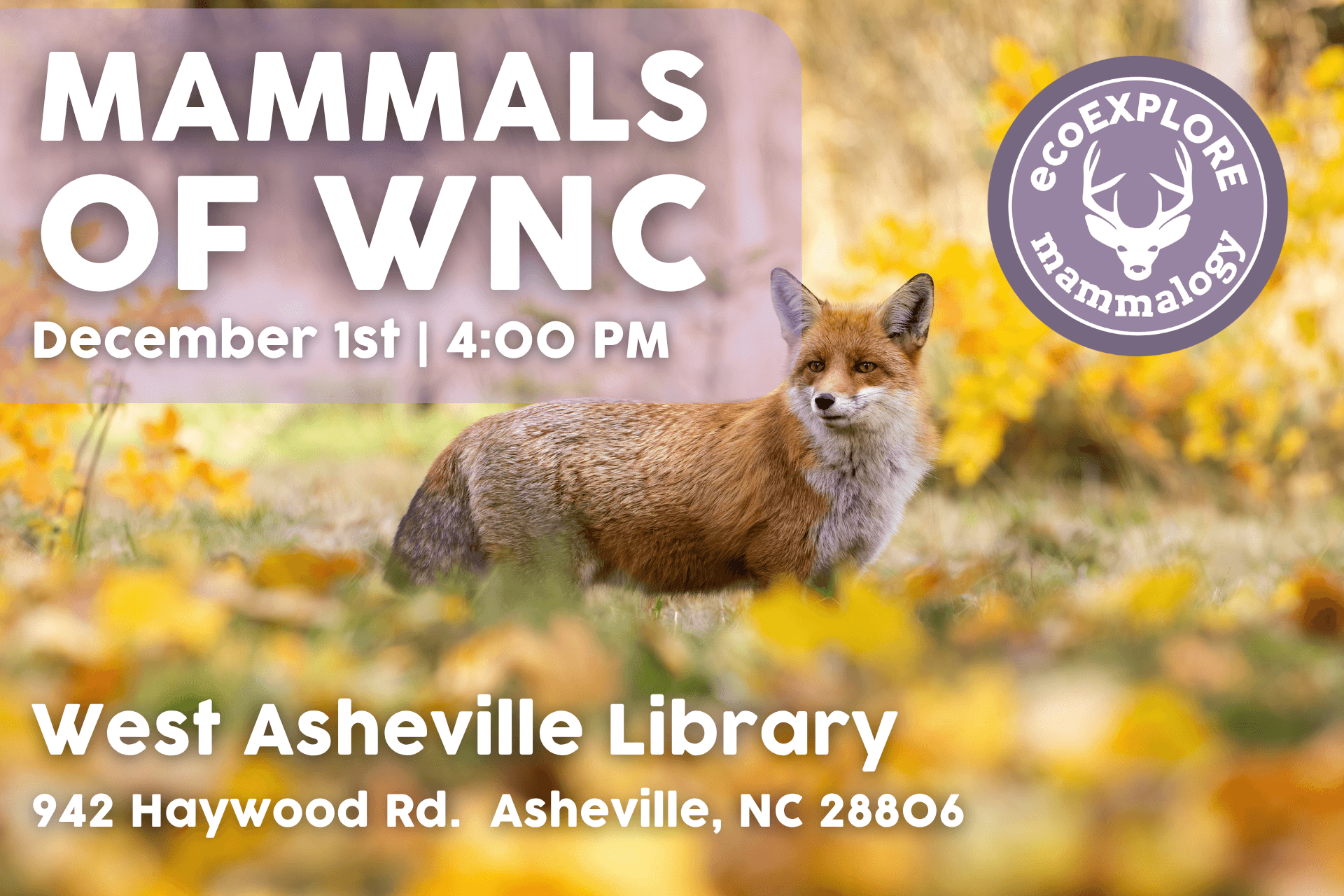 Mammals of WNC with ecoEXPLORE