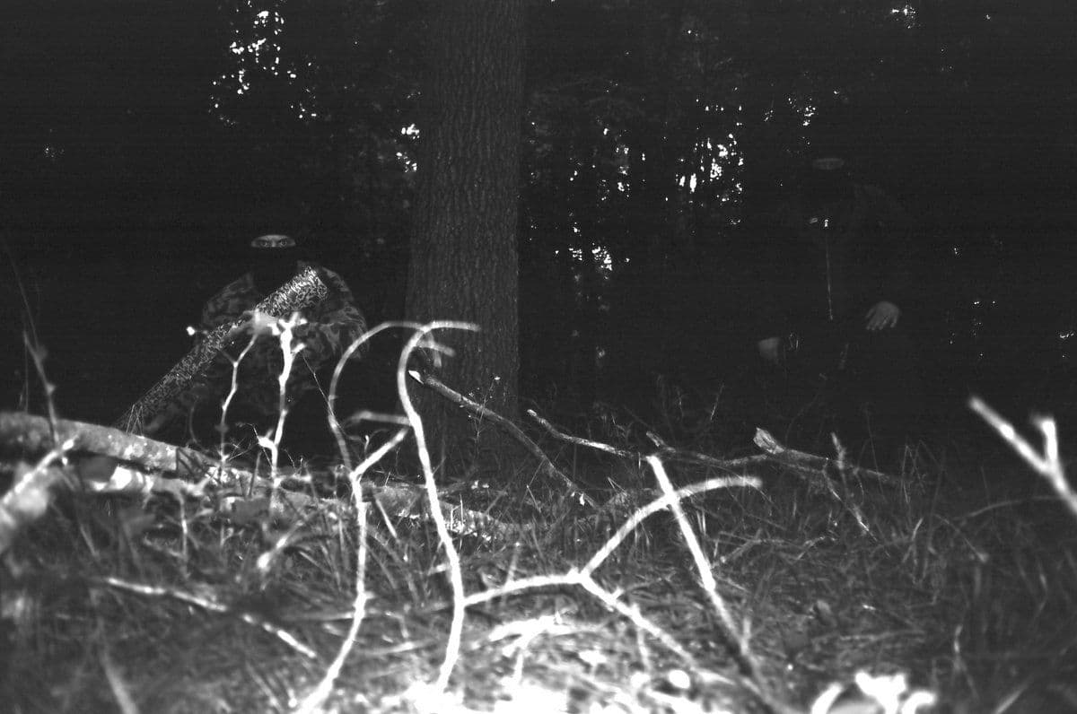 Primitive Warfare / All Hell / Harsh Realm / Soured