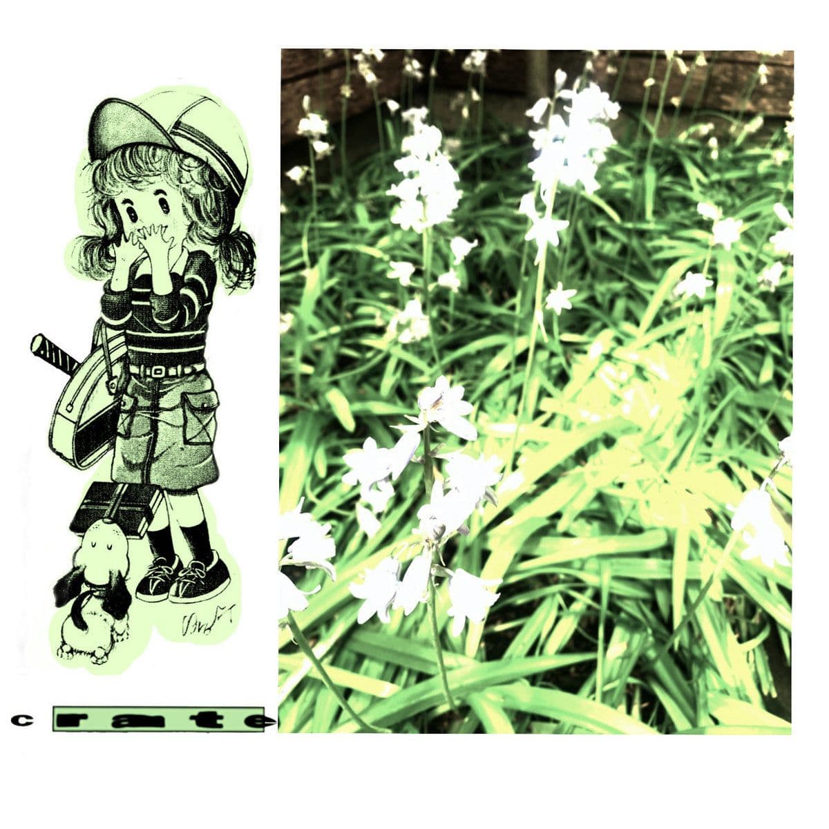 Crate / i26connector / Hook of Moon / Seven and A Half Giraffe